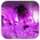 Location décoratif intérieur